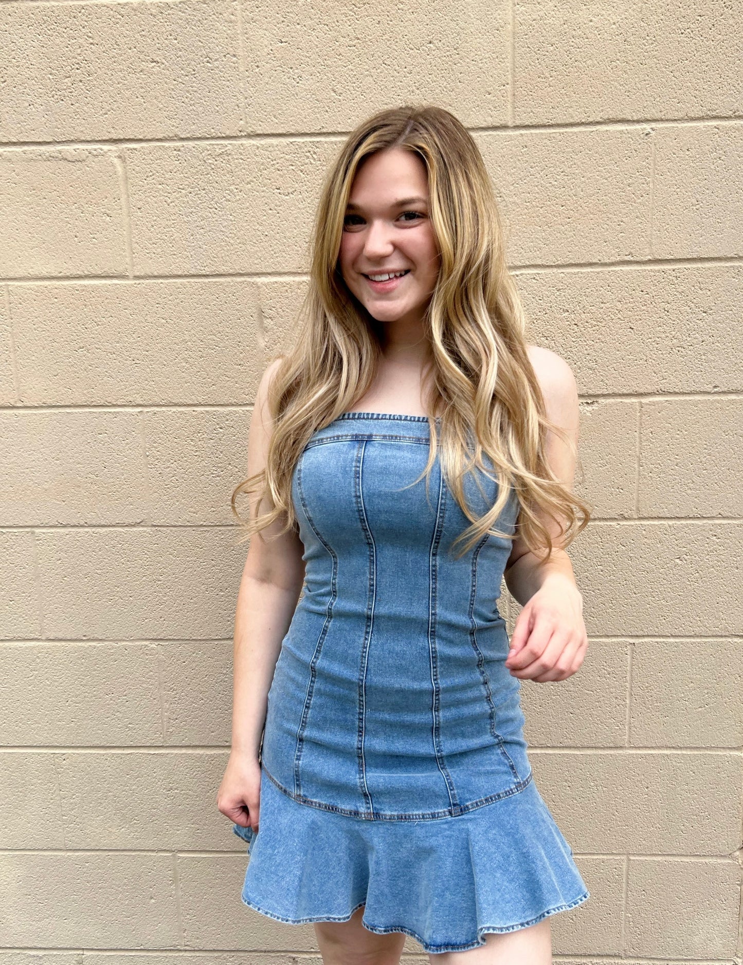 Darcy Denim Dress